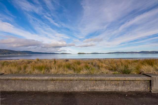 155 The Esplanade Petone_1