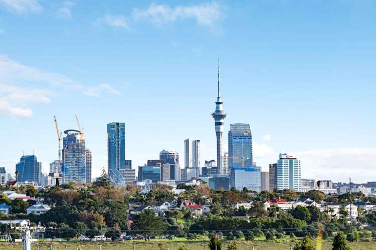 30b Hanlon Crescent Narrow Neck_19