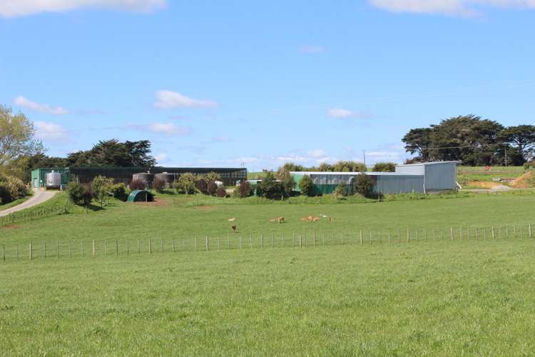 275 Cliff Road Eketahuna_5