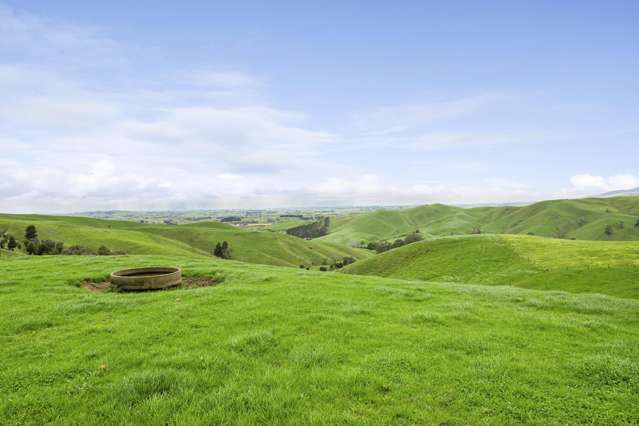 637 to 897 Tahuroa Road Morrinsville_2