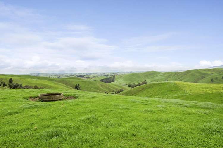 637 to 897 Tahuroa Road Morrinsville_2