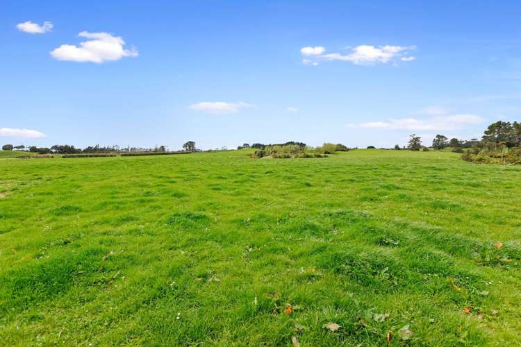 655 Plymouth Road Koru_6