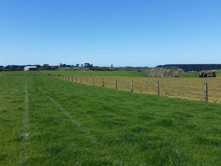 1584a Brunswick Road Kai Iwi_13