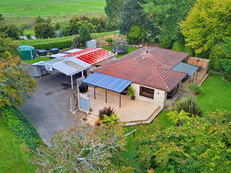 733A Bryce Road Ngakuru_27