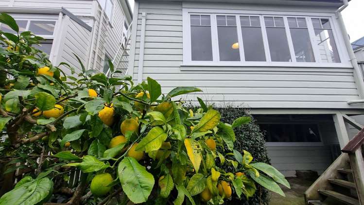 35B Grant Road Thorndon_25