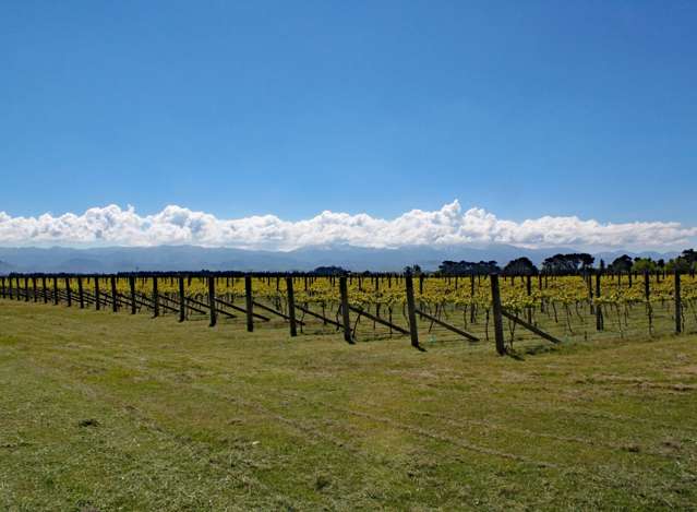 Address withheld Wellington Central_1