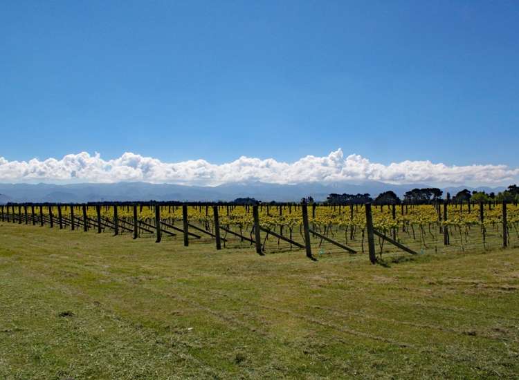 Address withheld Wellington Central_1