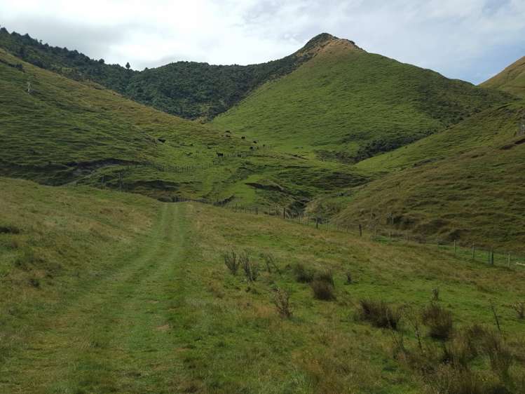 629 Tamaki East Road Rangitikei Surrounds_14