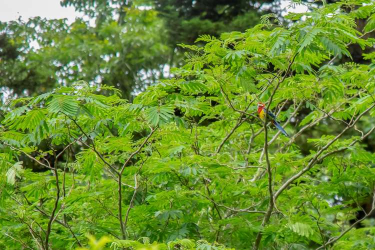 13 Mill Road Waimate_15