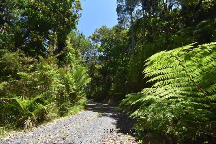 435 Heatley Road Whakapirau_31