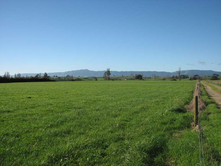 240 Bayly Road South Waikato_12