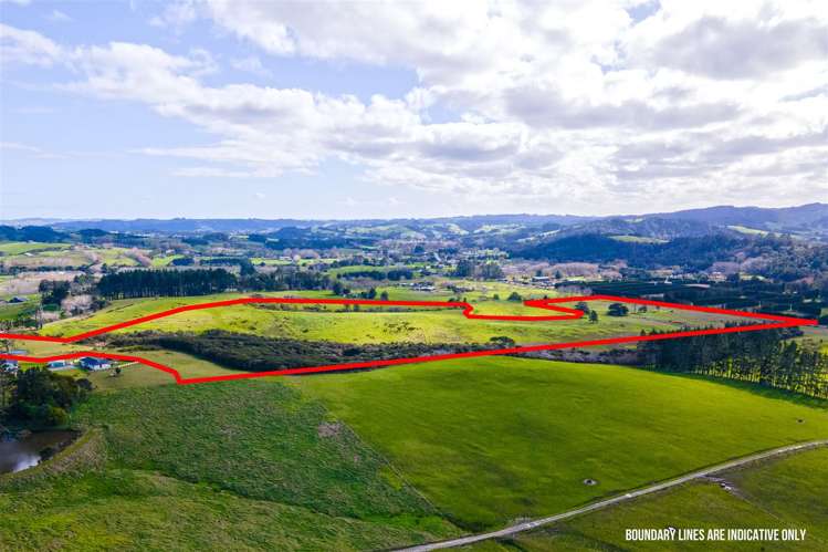 Lot 2 DP 401001 Kahikatea Flat Road Waitoki_4