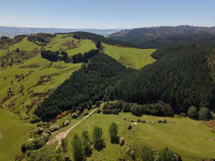 66 Otokia-Kuri Bush Road West Henley_5