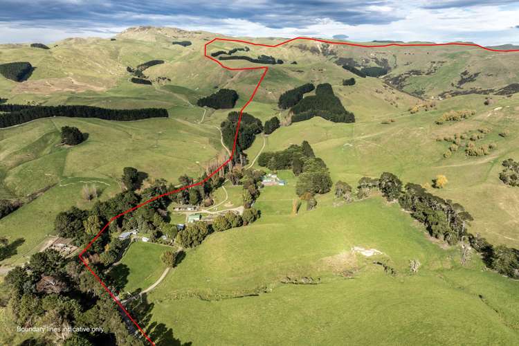 467 Waitahora Valley Road Dannevirke_45