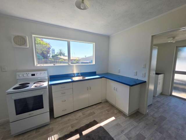 55a Waverley Street Waipawa_1