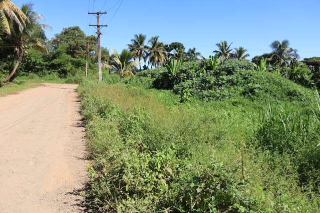 Lot 1 Navo Stable Road Nadi_2