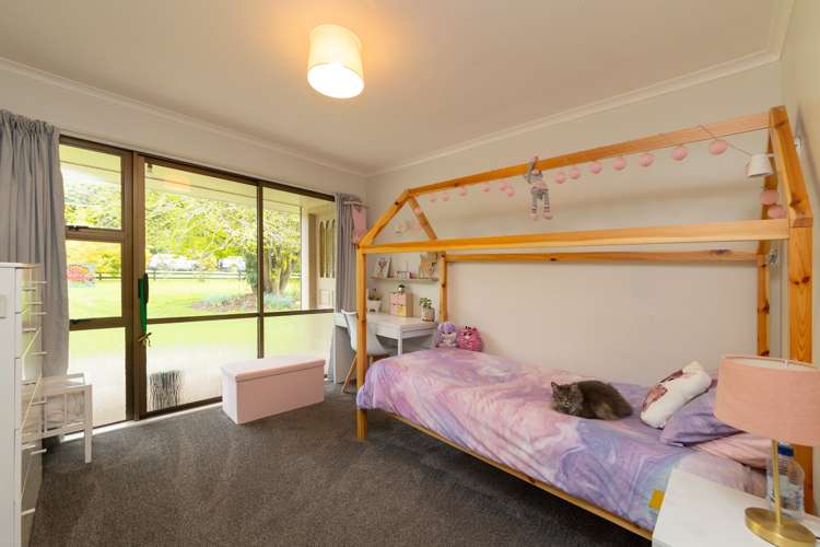 76 Watershed Road Bunnythorpe_15