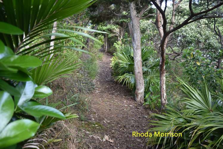 23 Te Wairoa Lane Tinopai_7