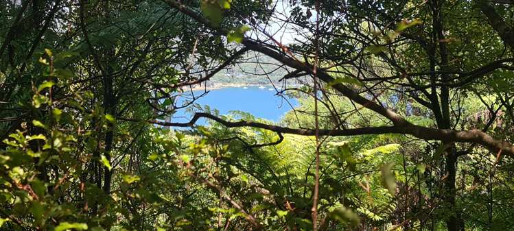 348 Shoal Bay Road Great Barrier Island (Aotea Island)_5