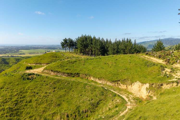 170 Mangaone North Road Te Horo_8