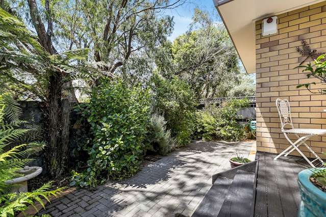 58a Peary Road Mount Eden_2