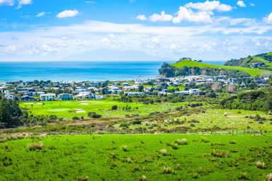 Mangatawhiri Road_3