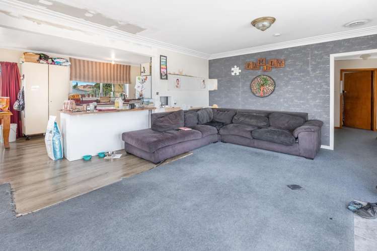 11b Lear Street Morrinsville_2