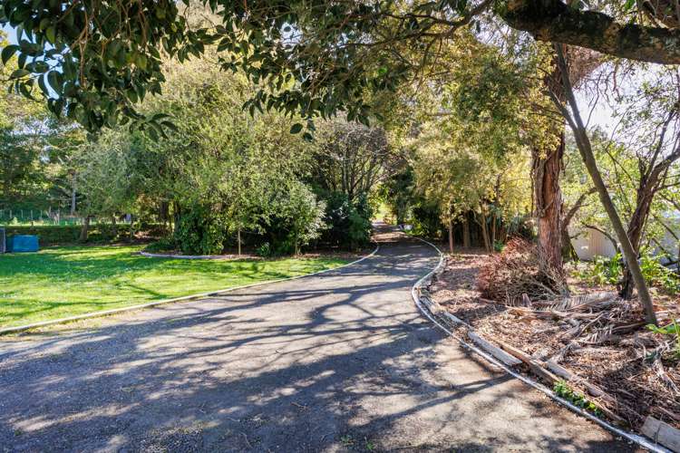 151 Mulgrave Street Ashhurst_9