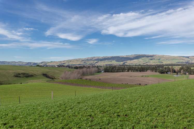 277 Mackenzies Road Waipara_6