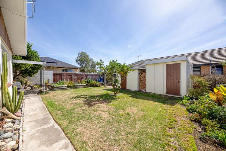 5a Manson Street Redwoodtown_20