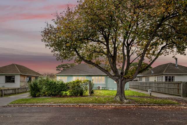 Two properties - one nice price!