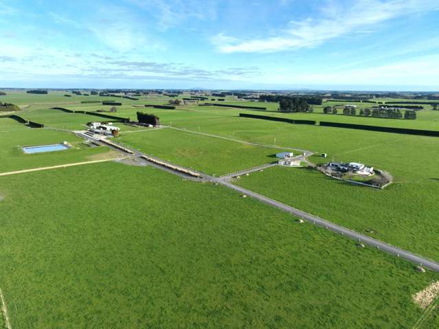 Dairy Farm with Options