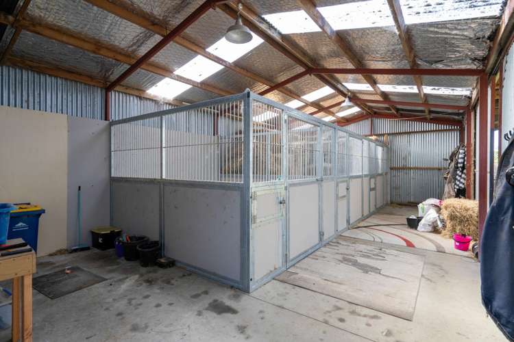 146 French Pass Road Cambridge_18