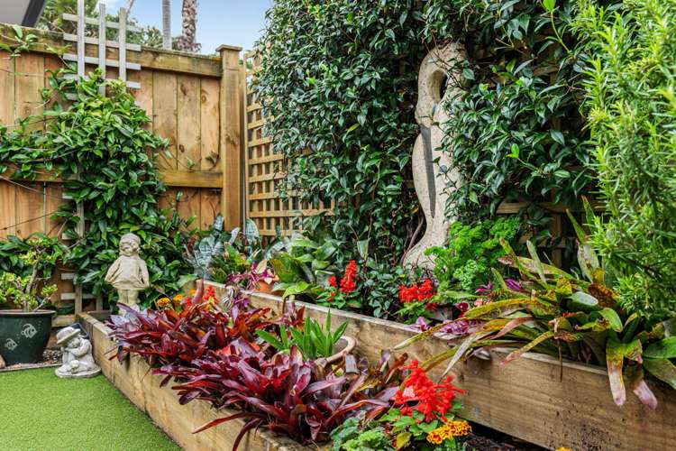 5 Laurie Street Red Beach_22