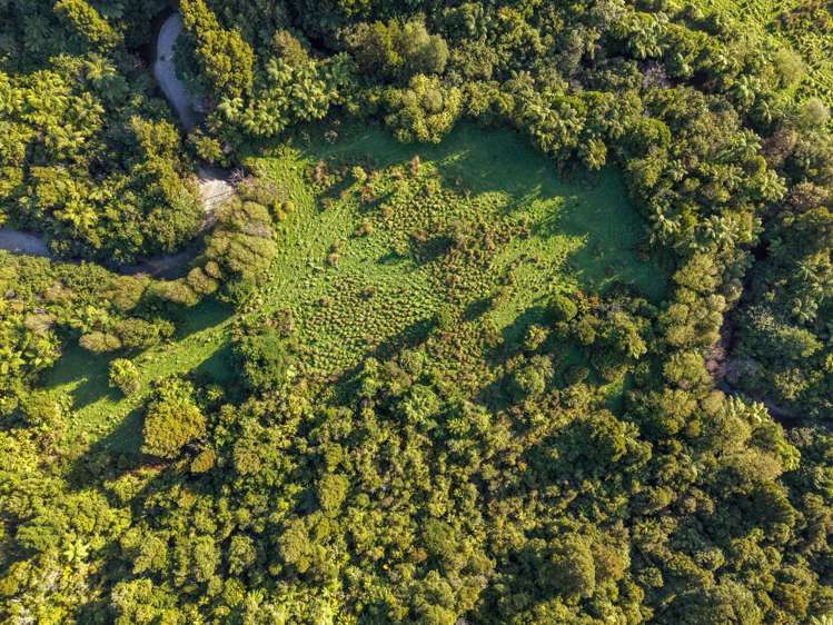 29 Tu Papaku Road Barrytown_32