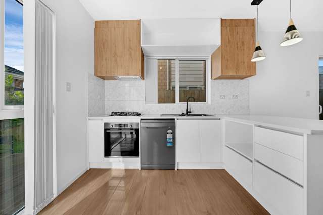 46B Elliot Street Howick_2