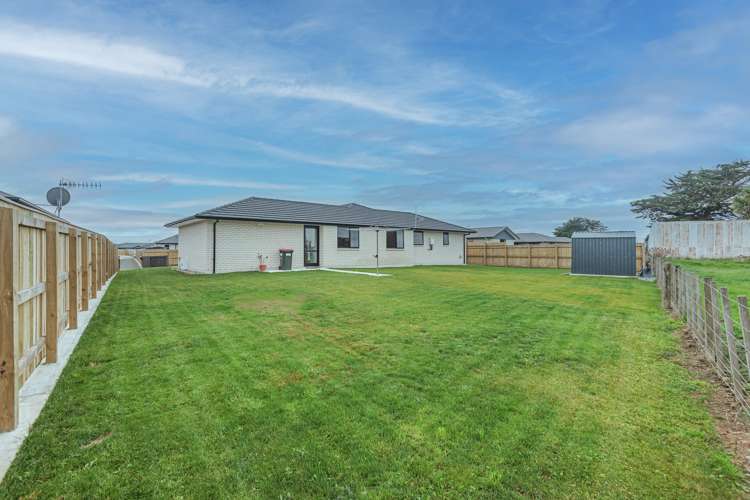 23 George Street Bulls_16