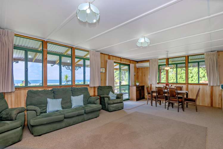 24 Tirohanga Opotiki_7