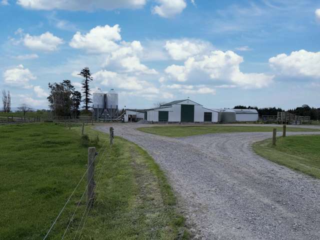 12/1212A Tower Road Matamata_3