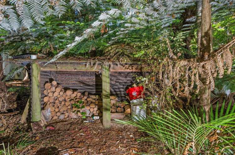 138 Konini Road Titirangi_23