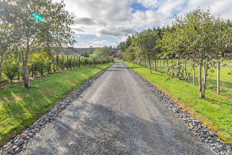 208 Potts Road Koputaroa_22