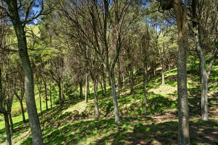 231 Aniseed Valley Road Hope_41