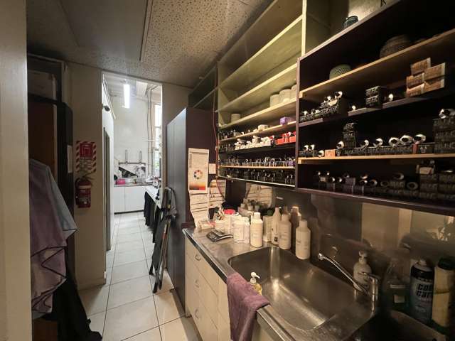 59A Cambridge Terrace Te Aro_4