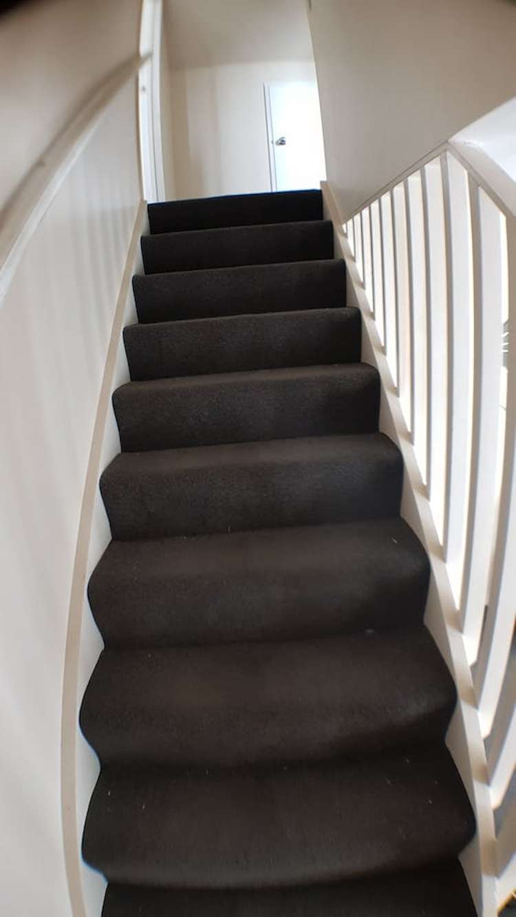 53a York Street Hamilton East_10