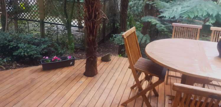 113B Daffodil Street Titirangi_2