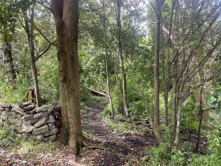 2a Hammond Avenue Hatfields Beach_12