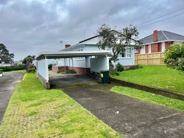 565 Hillsborough Road Mount Roskill_11