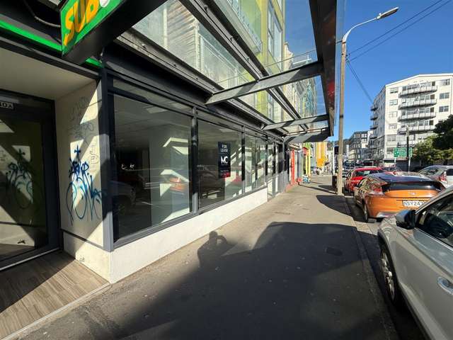 140 Vivian Street Te Aro_2