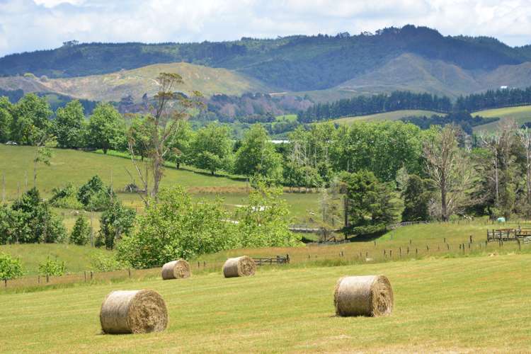 74 Wyllie Road Warkworth_20