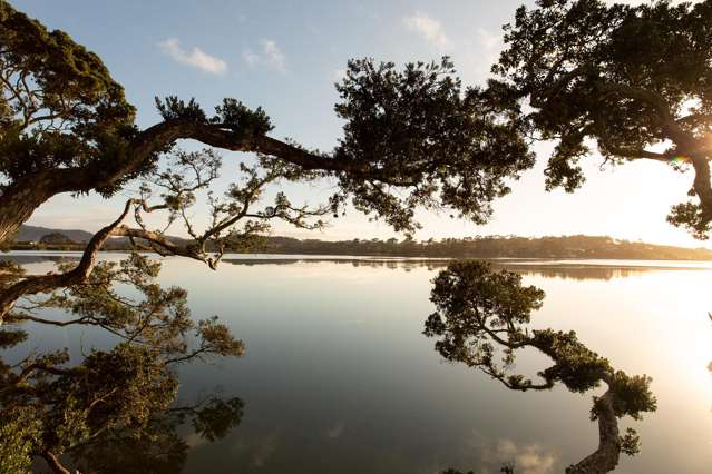 13 William Gilbert Drive Mangawhai_3